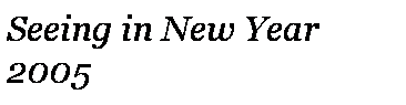 Text Box: Seeing in New Year 2005 
